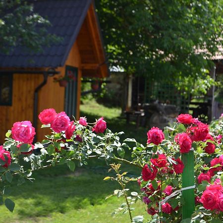 Apartament Ivona - Kuca Za Odmor Perusic - Stara Lika Zewnętrze zdjęcie
