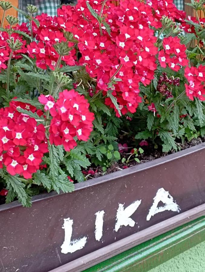 Apartament Ivona - Kuca Za Odmor Perusic - Stara Lika Zewnętrze zdjęcie