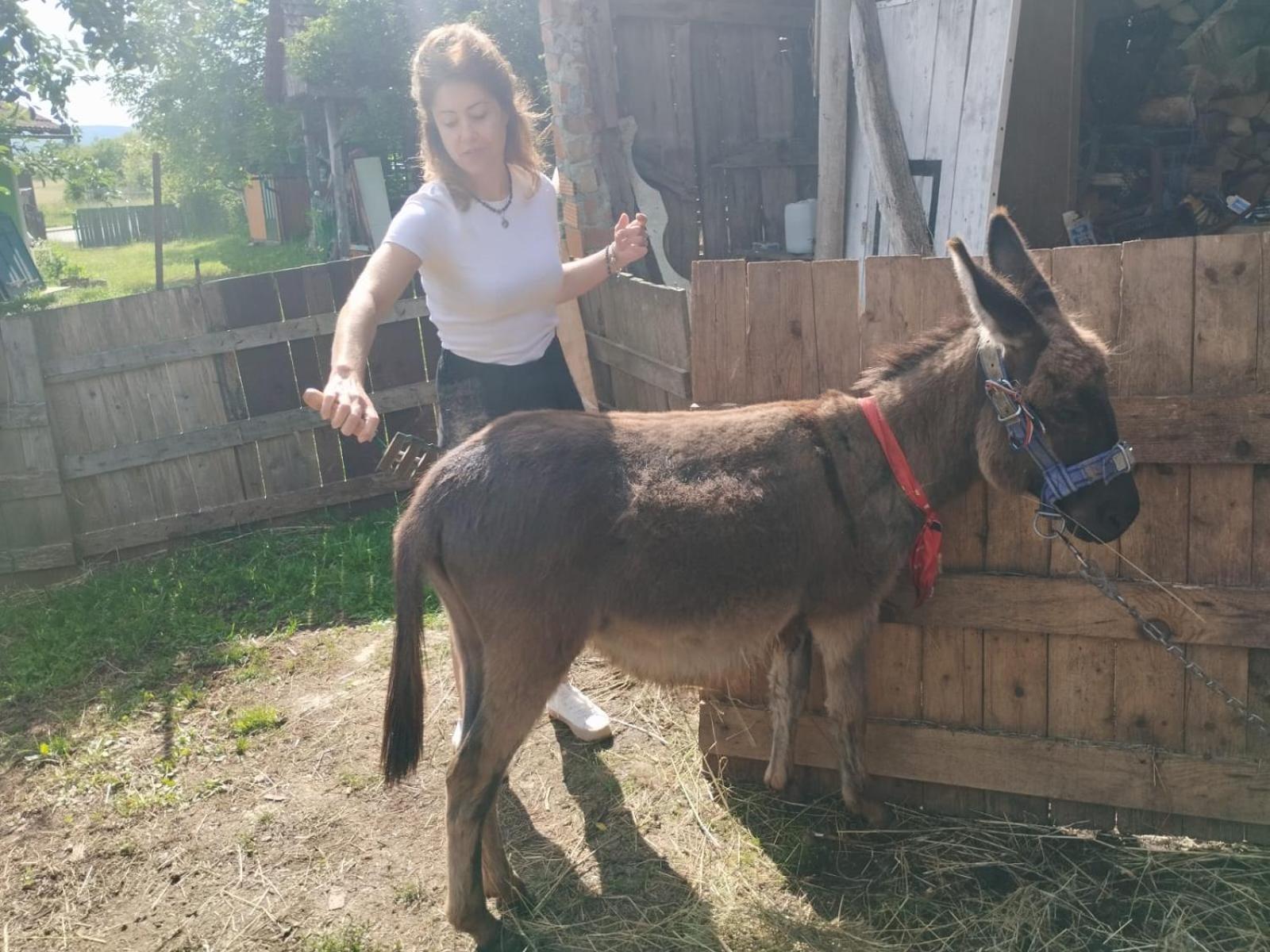 Apartament Ivona - Kuca Za Odmor Perusic - Stara Lika Zewnętrze zdjęcie
